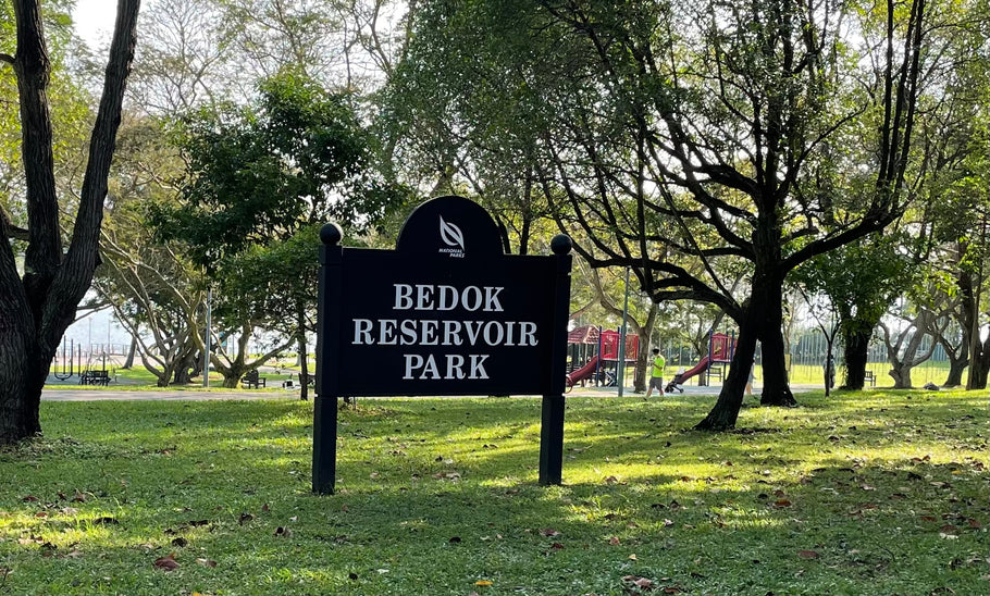 Reflections of Bedok Reservoir