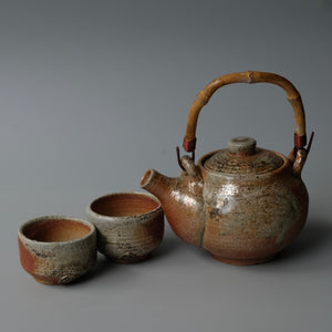 Shigaraki Teapot