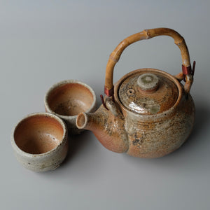 Shigaraki Teapot